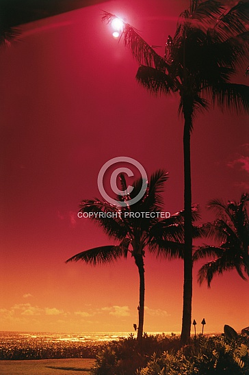 CD 006-Sunsets